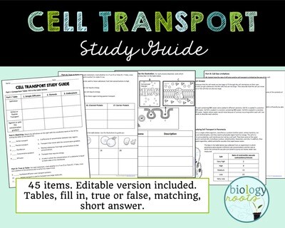 Study Guide Bundle- supports digital
