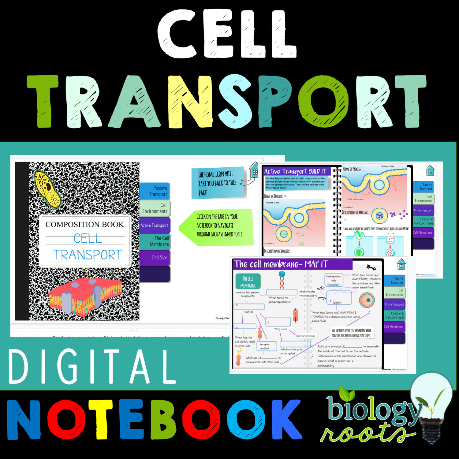 Cell Transport Digital Interactive Science Notebook