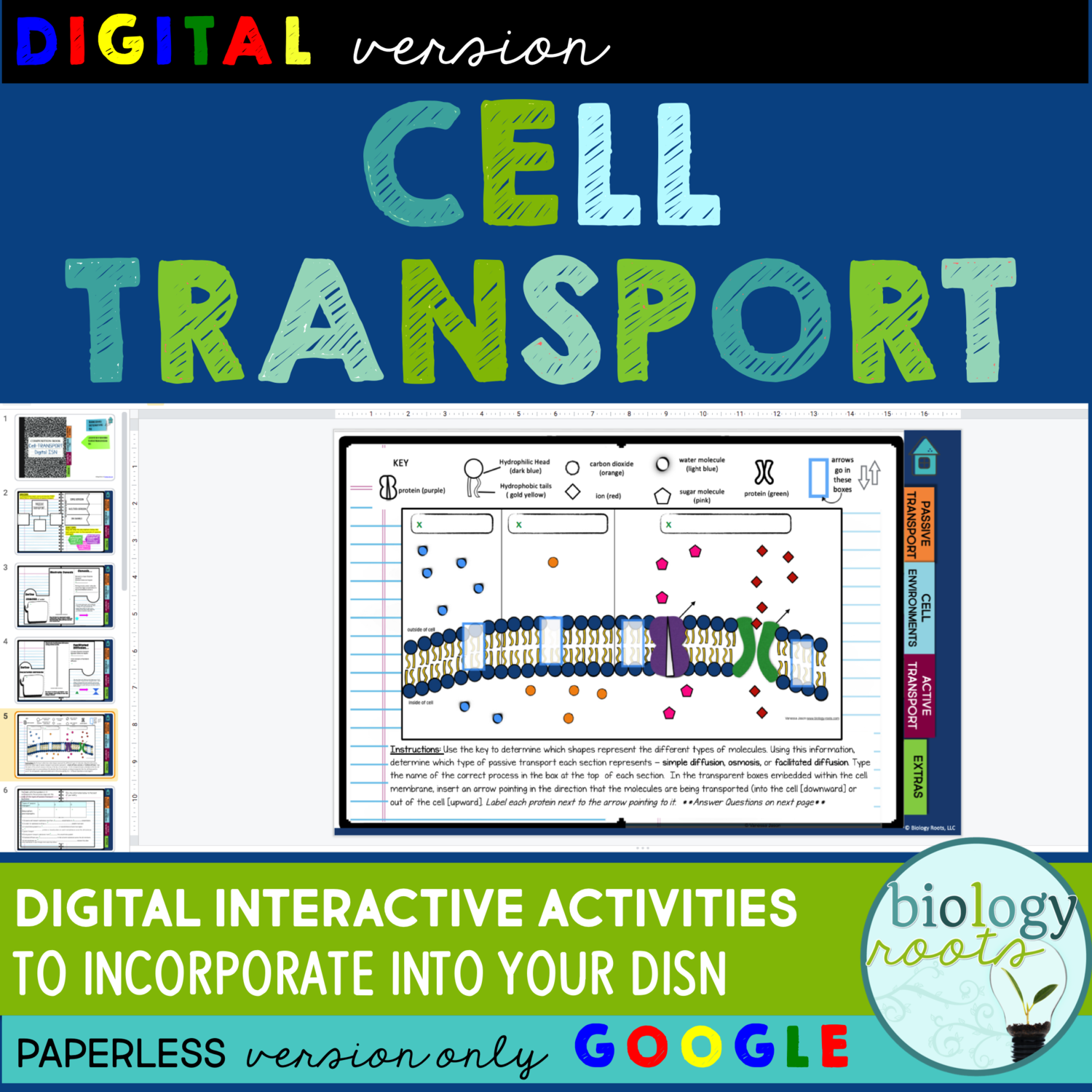 Cell Transport Digital Interactive Activities