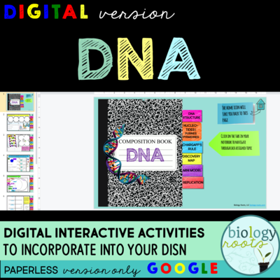 DNA Digital Interactive Activities