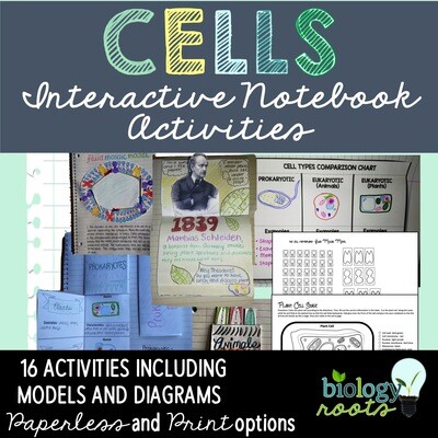 Cells Interactive Notebook