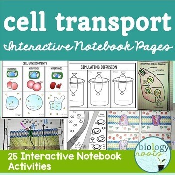 Cell Transport Interactive Notebook