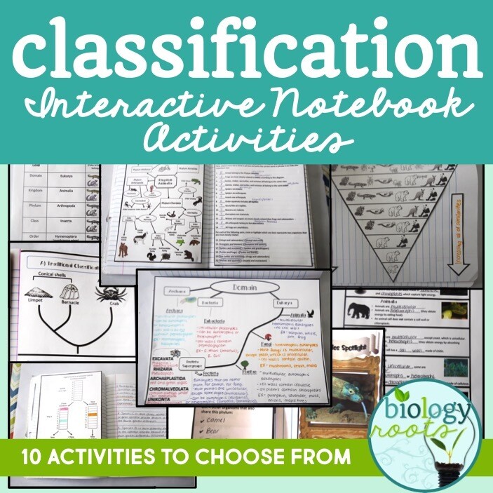 Classification Interactive Notebook