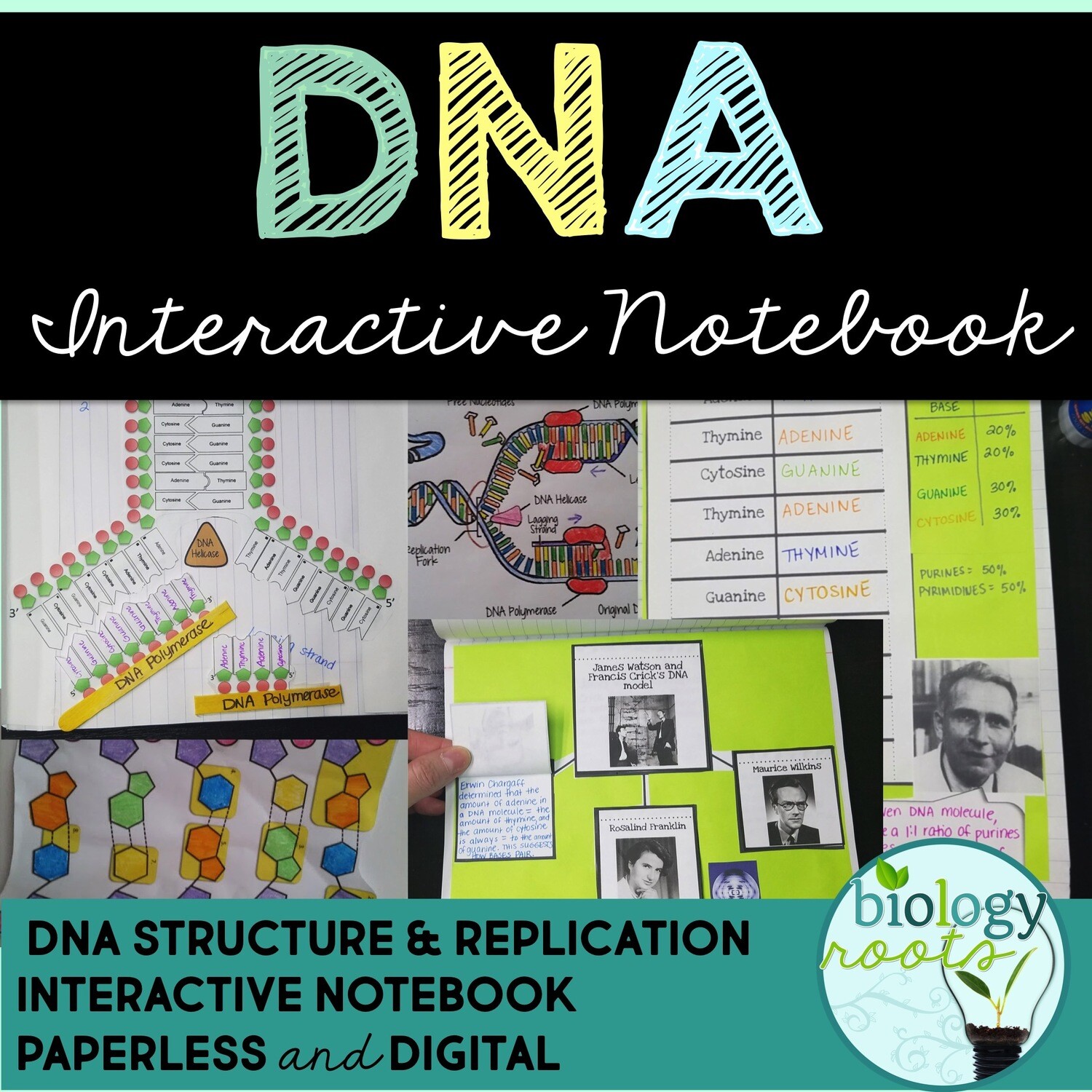 DNA Interactive Notebook