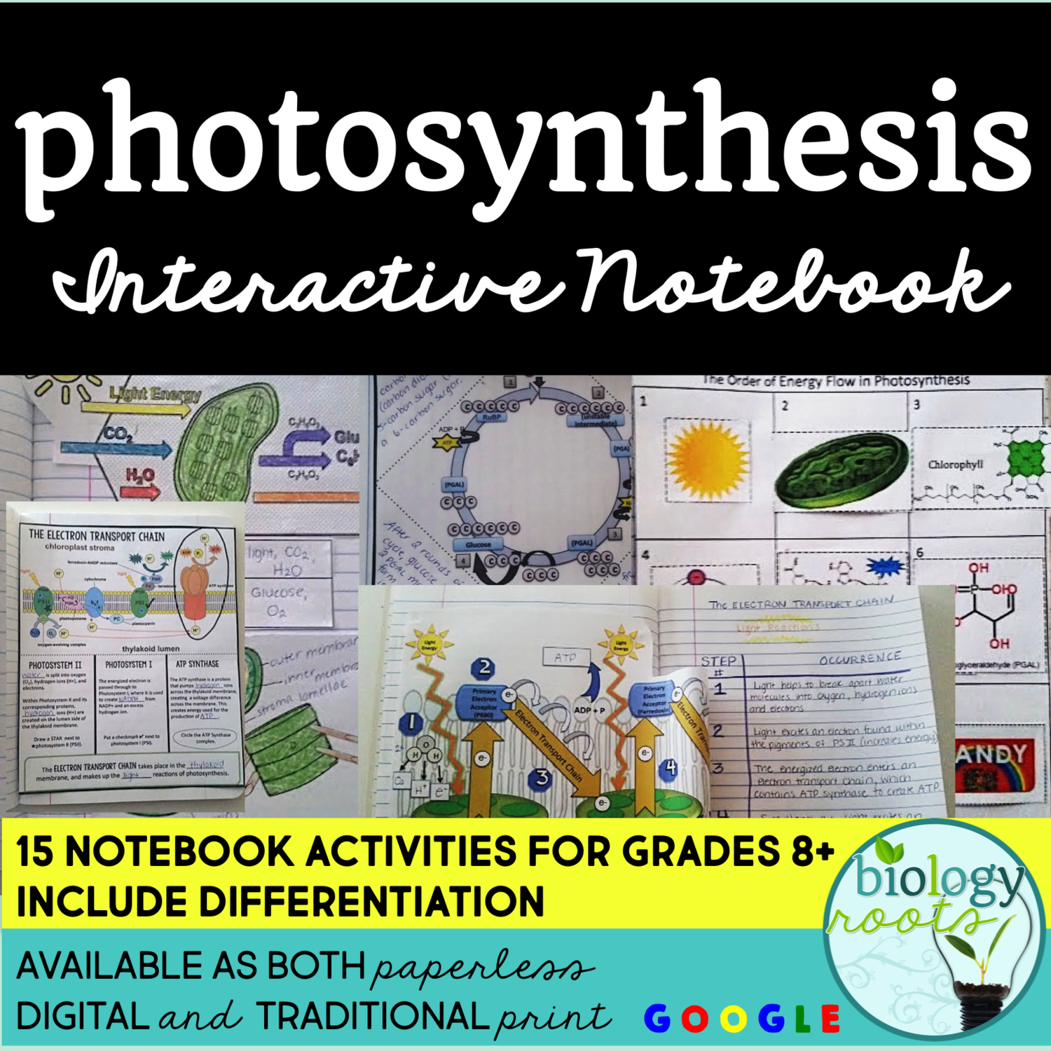 Photosynthesis Interactive Notebook
