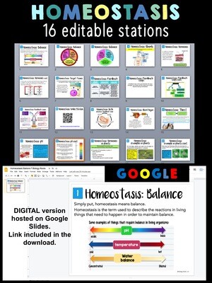 Homeostasis Stations - Store - Biology Roots