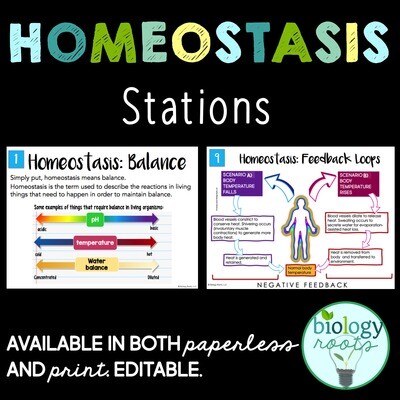 Homeostasis Stations