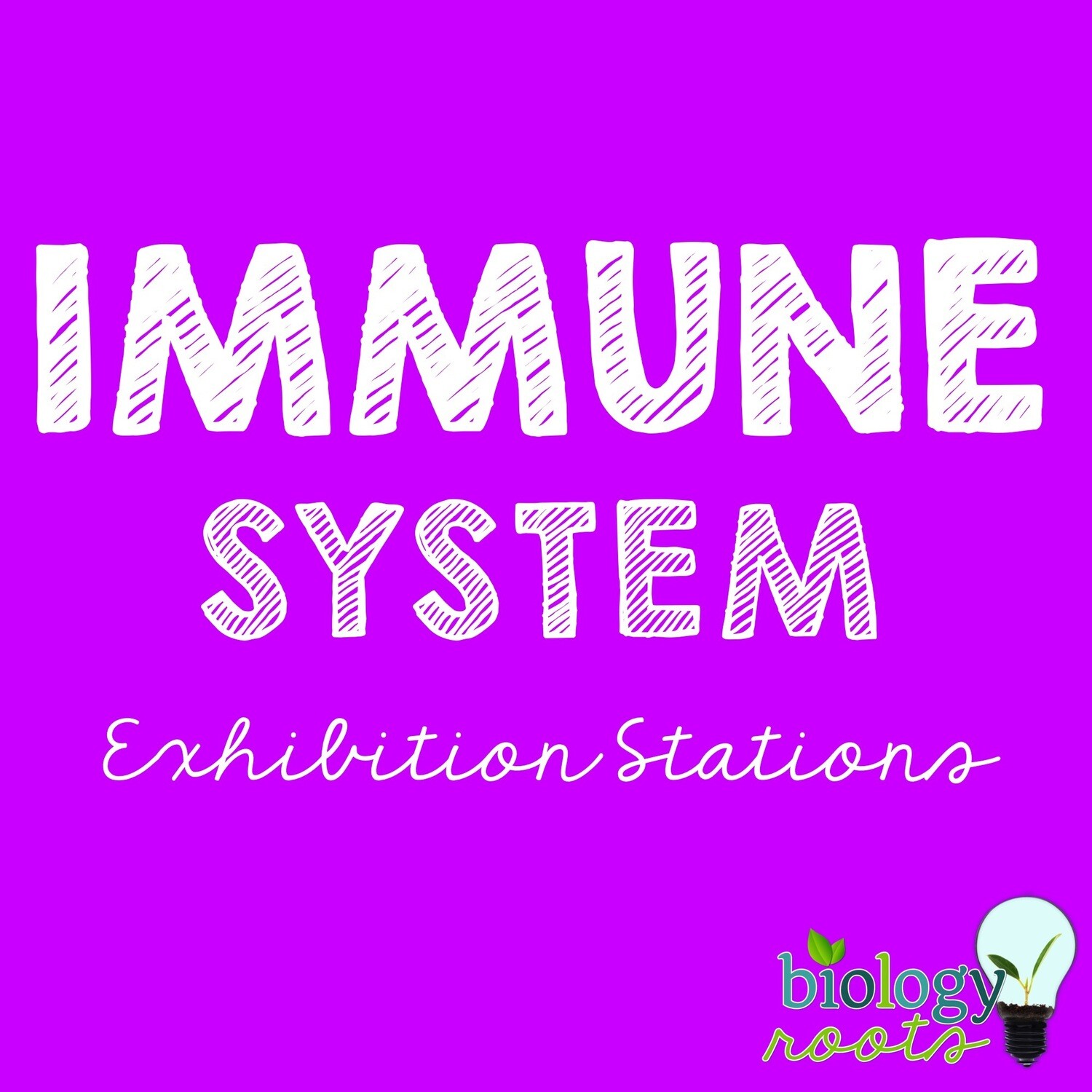 Immune System Stations
