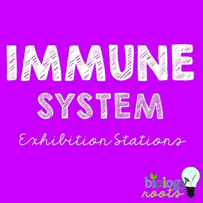 Immune System Stations