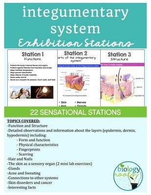 Integumentary System