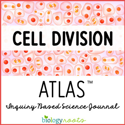 Cell Division ATLAS Inquiry Learning