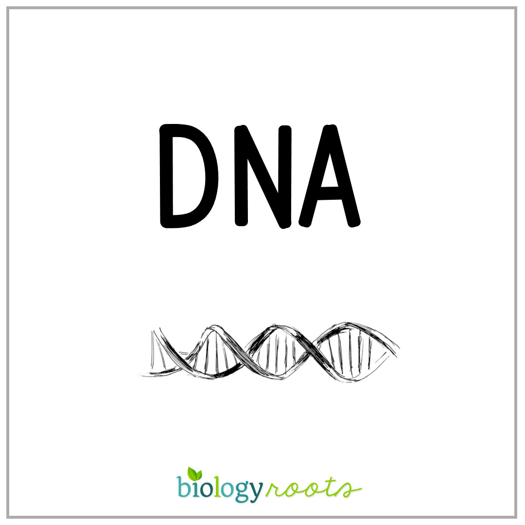 Genetics visual data 7