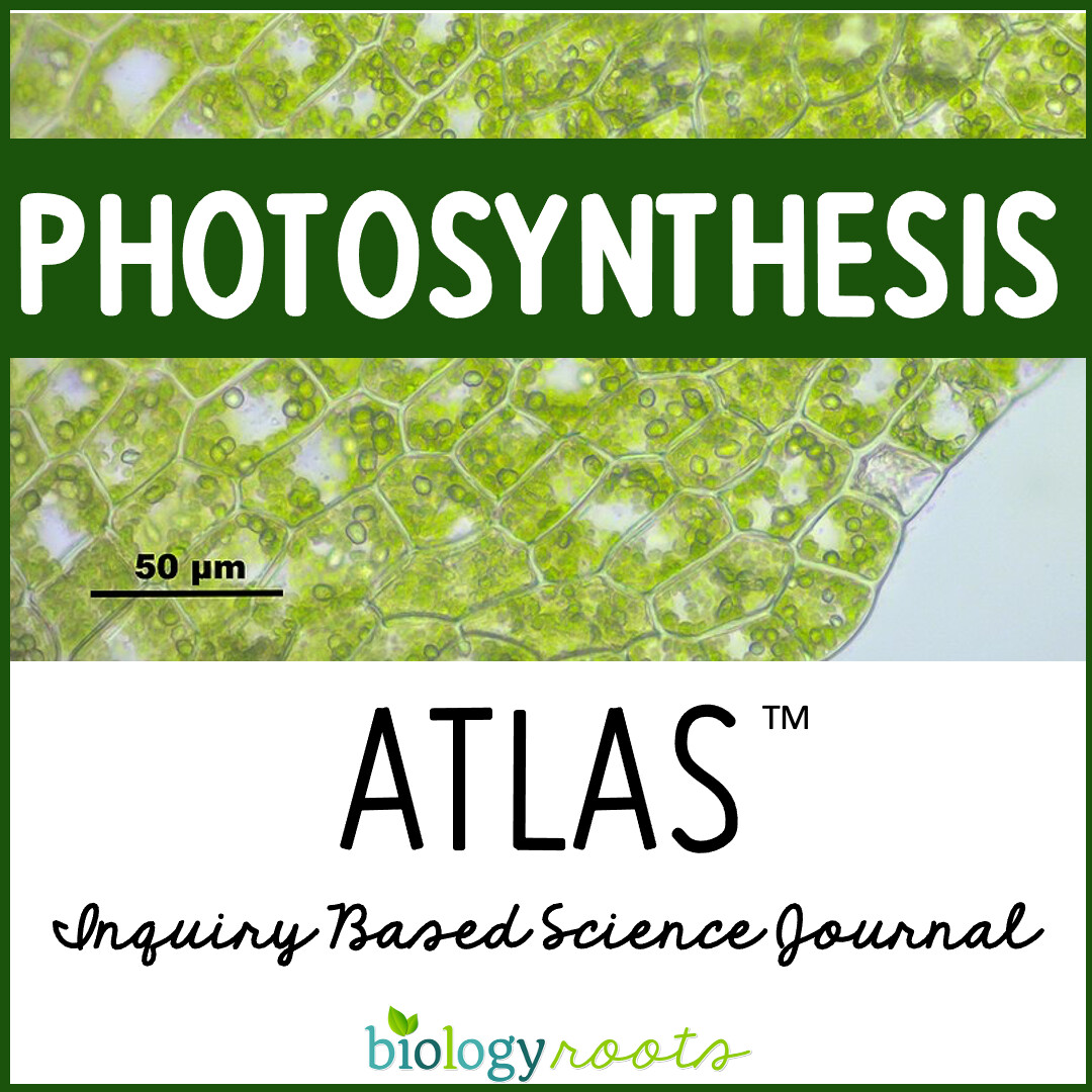 Photosynthesis NGSS Inquiry ATLAS Journal