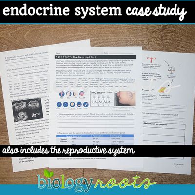 Anatomy Body System Case Study Bundle - Human Body System Lessons Medical Case Studies for Anatomy or Biology