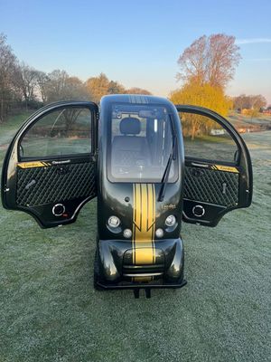 EASYLIFE ECO CABIN SCOOTER (2025) -  RACING GREEN &amp; GOLD - NEW EXECUTIVE EDITION