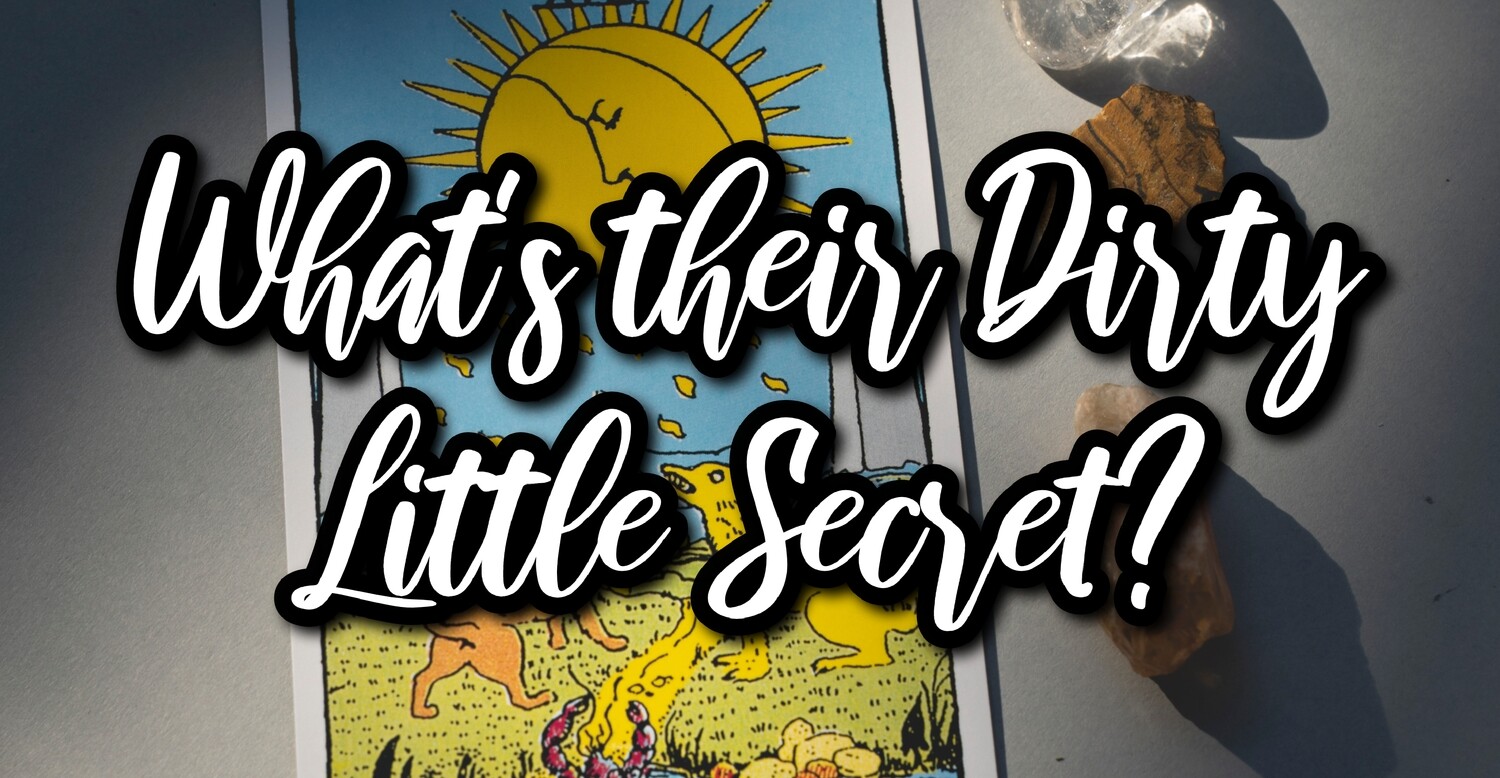 What's Their Dirty Little Secret? Private Video Reading