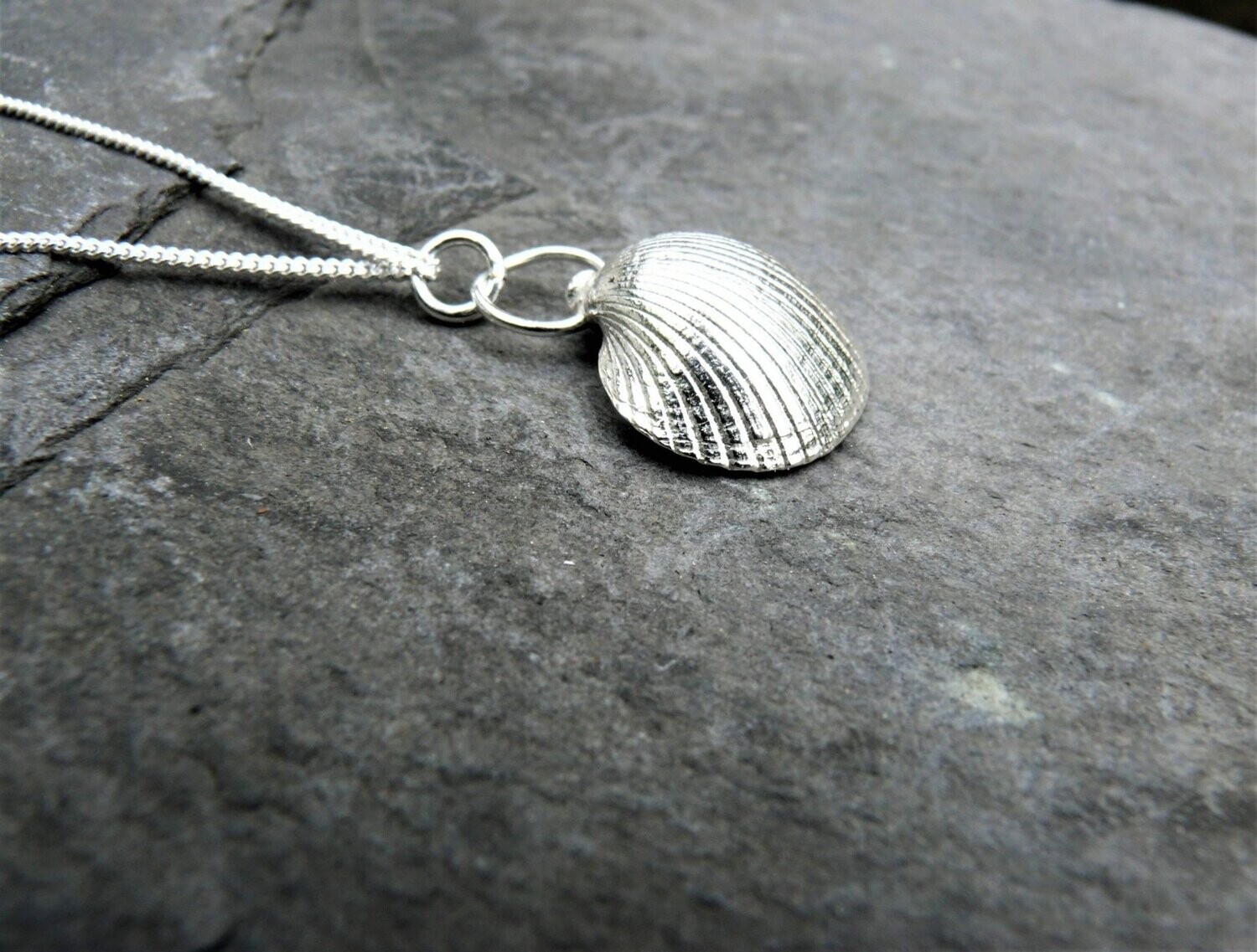 Arisaig Cockle Shell Necklace