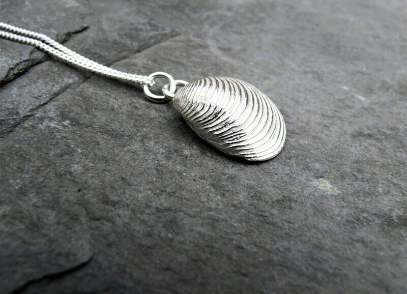 Arisaig Clam Shell Necklace