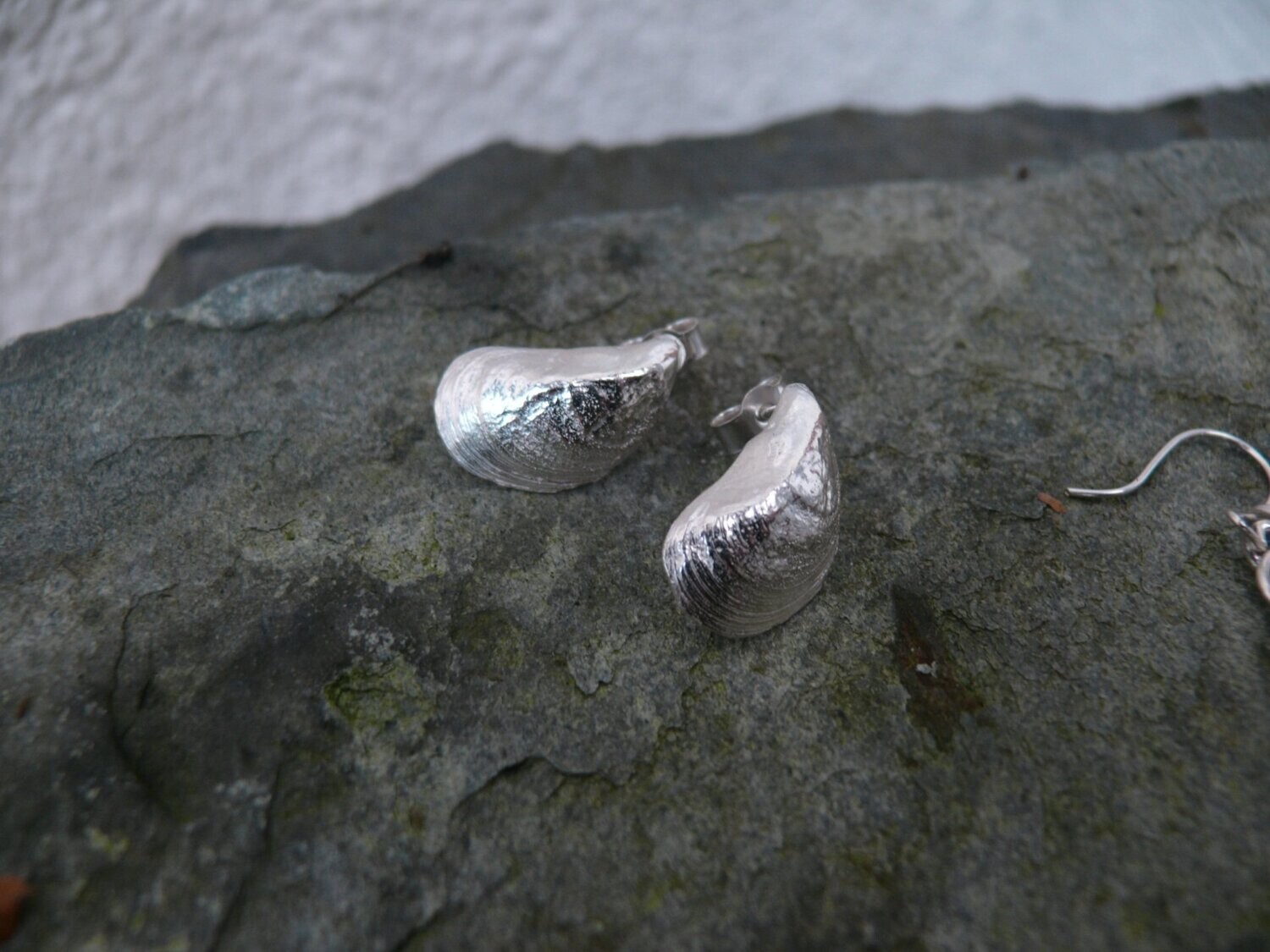 Arisaig Mussel Shell Studs