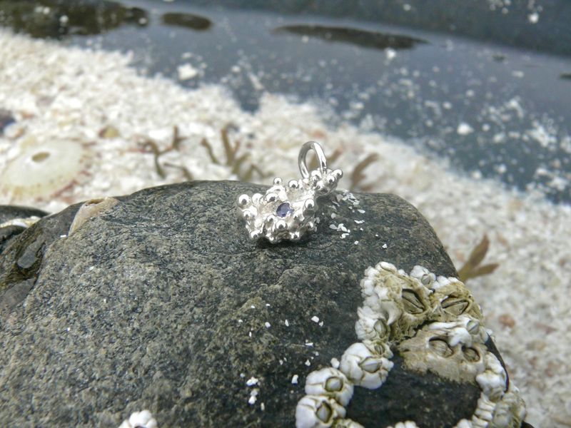 Tidelines Sapphire Barnacle Necklace