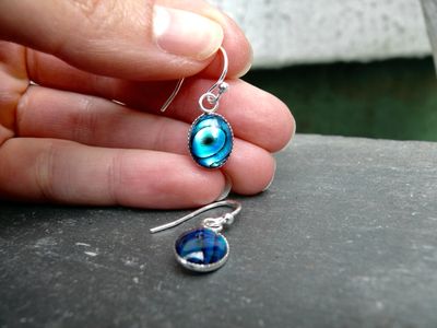 Blue Abalone Shell Earrings