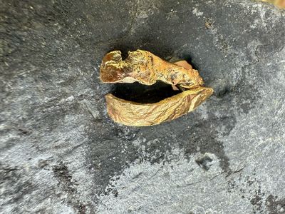 Glister Sandbar Stud Earrings Glister Sandbar Stud Earrings