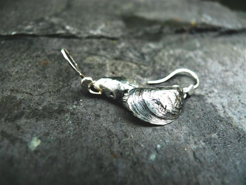 Arisaig Mussel Shell Earrings Arisaig Mussel Shell Earrings