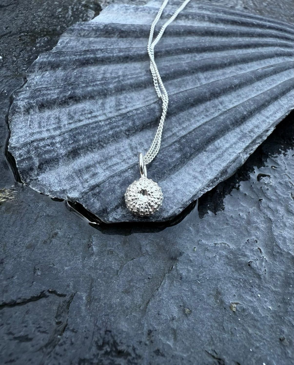 Sea Urchin Shell Necklace
