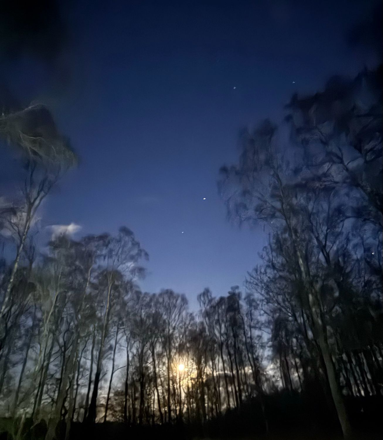 Commission Deposit 1