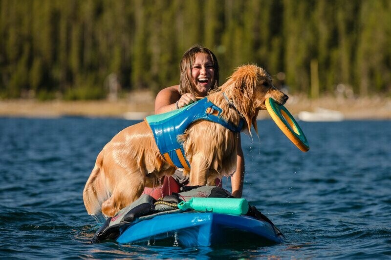 JUXZH Kühlweste Für Hunde – Verstellbar Mit Reißverschluss, Für Jagd, Training & Camping