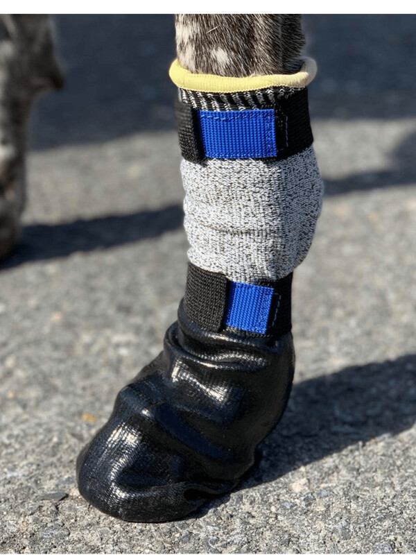 V.I.P. Hundebootie gummiert lang V.I.P. Hundebootie gummiert lang