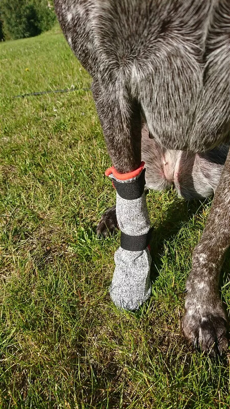 V.I.P. Hundebootie Universal lang V.I.P. Hundebootie Universal lang