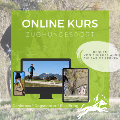 Online Kurs - Zughundesport