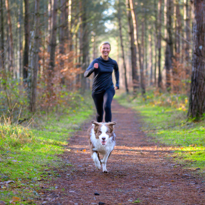 Laufen und Joggen mit Hund