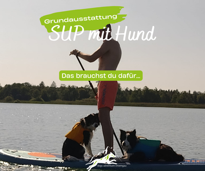 SUP mit Hund