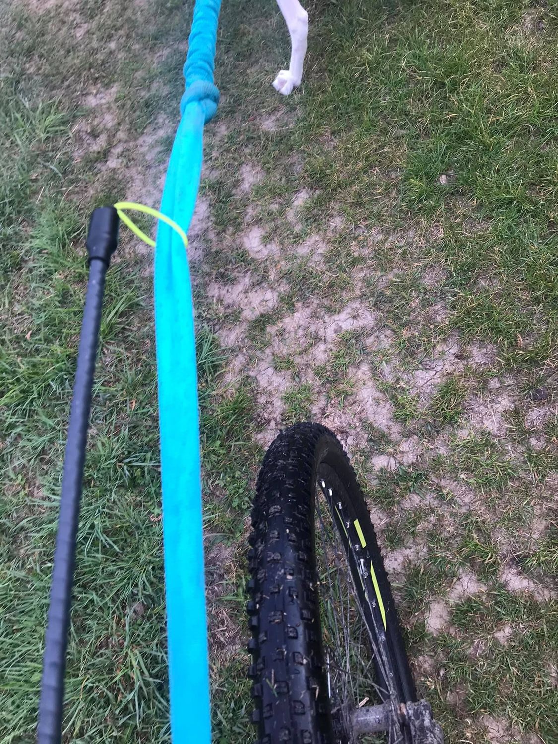 DSS Antenne Bikeantenne / Scooter (Leicht und abnehmbar)