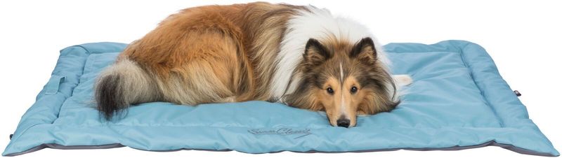 TRIXI Reisedecke Samoa Classic 85 × 70 cm eisblau/grau TRIXI Reisedecke Samoa Classic 85 × 70 cm eisblau/grau