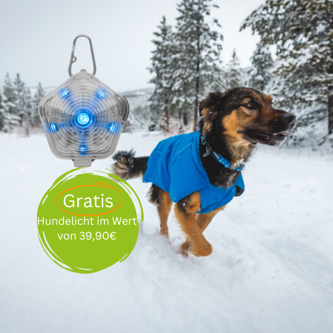 Ruffwear Vert Jacket + gratis Hundelicht