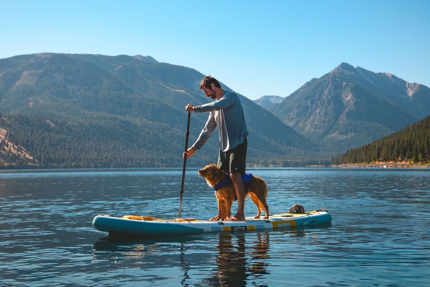 SUP mit Hund Einzelcoaching am Chiemsee