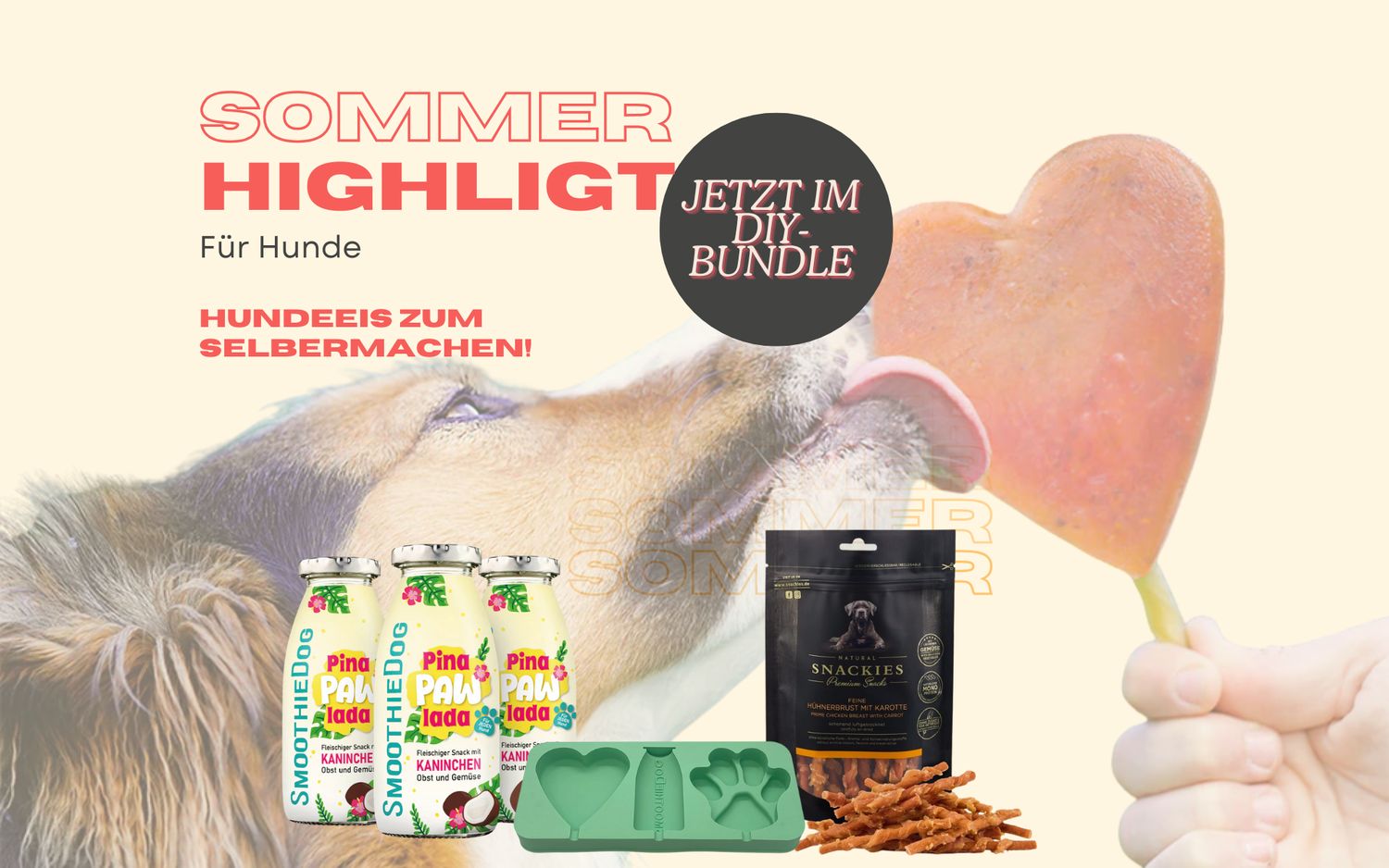 Hundeeis - DIY Hundeeis-Bundle mit SmoothieDog & Snackies