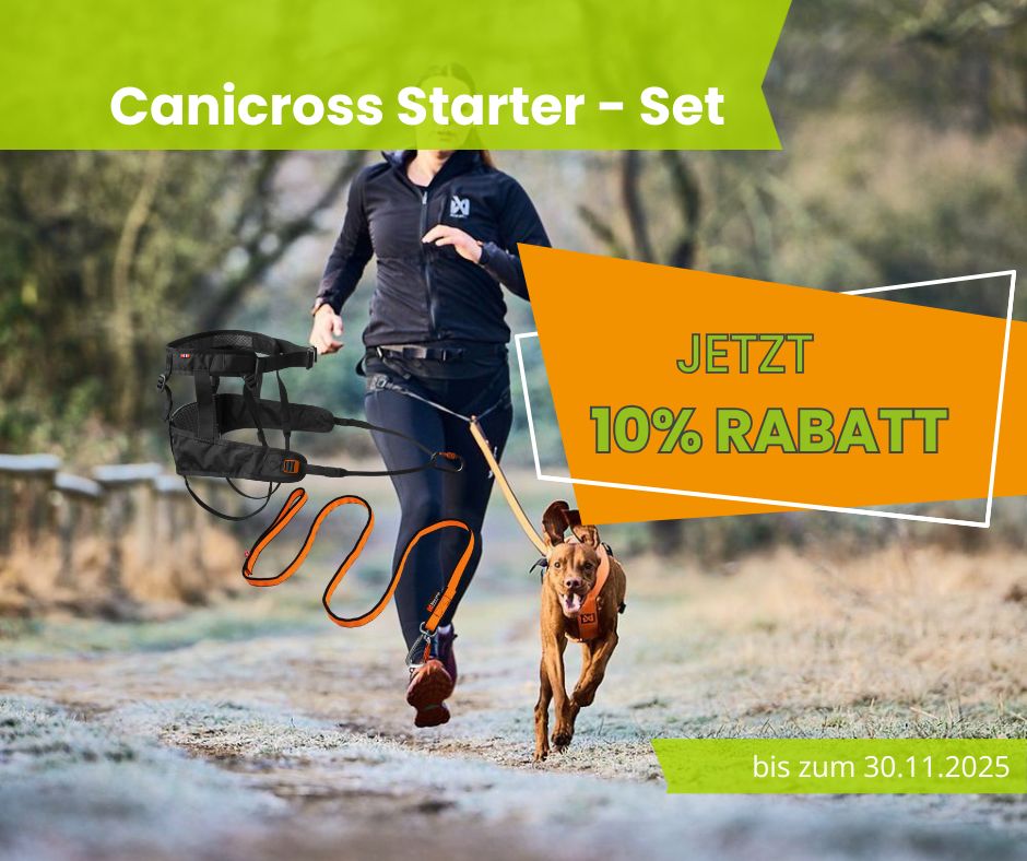 Canicross Starter-Set, Non-stop Dogwear Canix Belt 2.0 + Bungee Leash