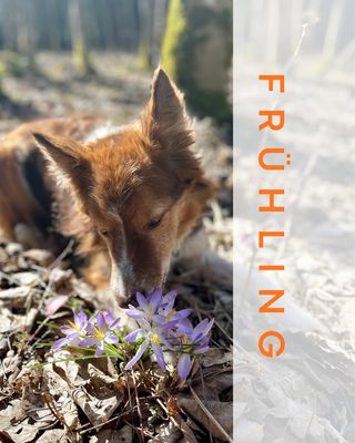 Produkte des Monats - Frühling