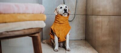 Lill's Hundebademantel aus Bio-Baumwolle