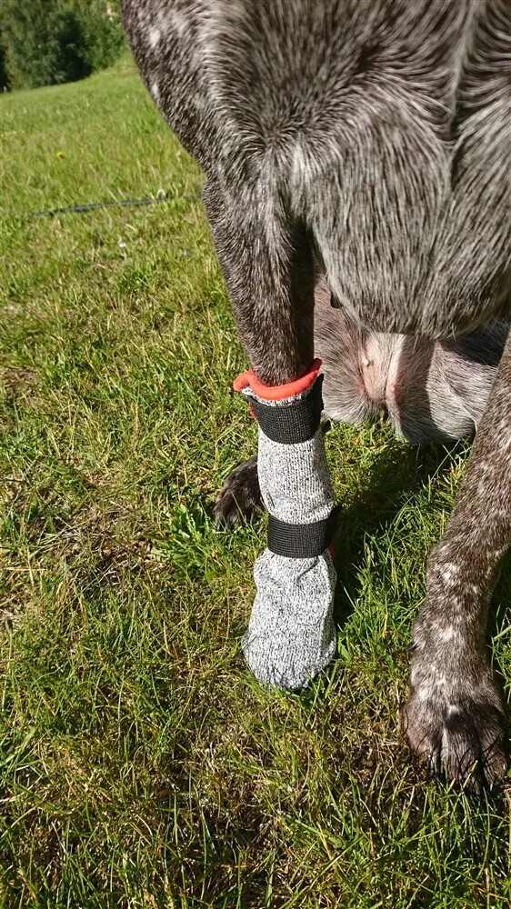 V.I.P. Hundebootie Universal lang V.I.P. Hundebootie Universal lang