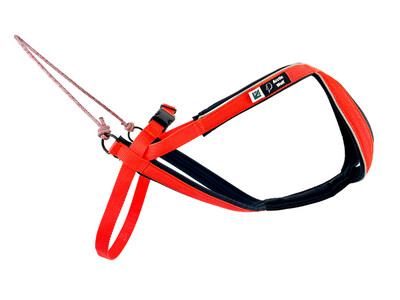 Arctic Wolf Multi-Sport Geschirr Arctic Wolf Multi-Sport Geschirr