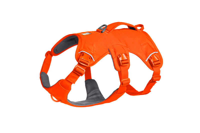 Ruffwear Web Master - Hundegeschirr mit Griff Ruffwear Web Master - Hundegeschirr mit Griff
