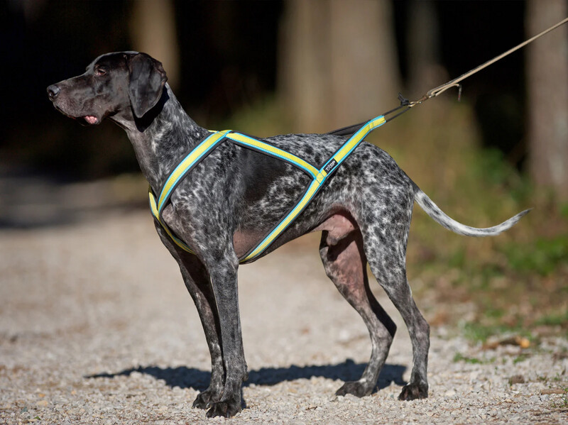 TrOP Core Harness, Zuggeschirr TrOP Core Harness, Zuggeschirr