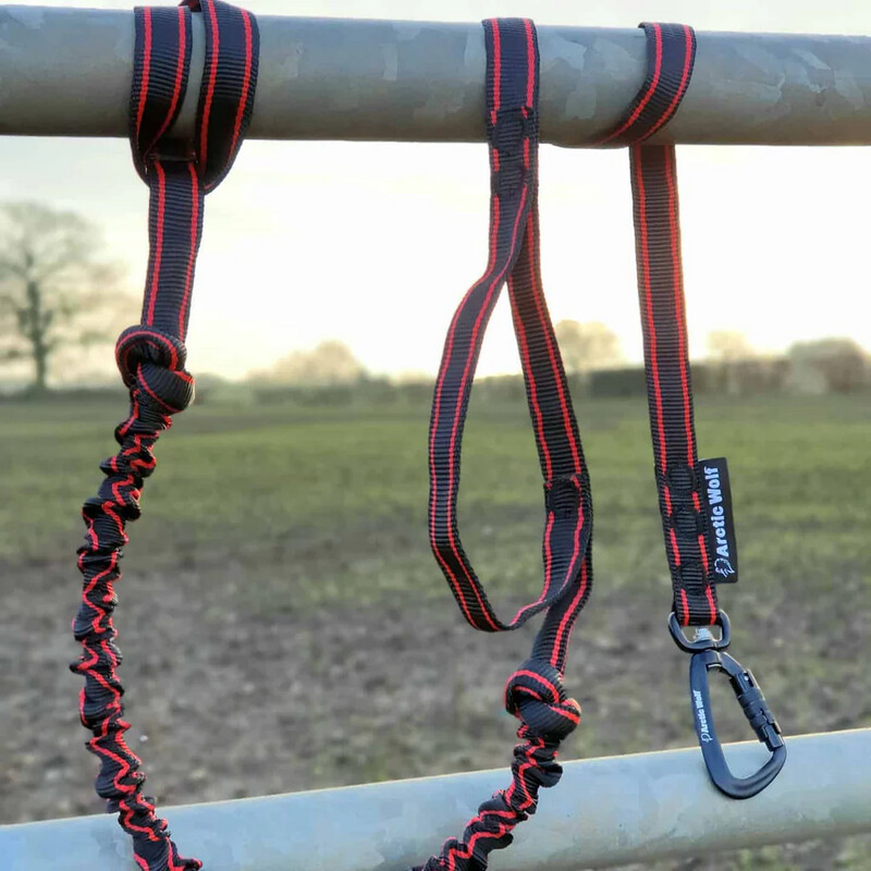 Arctic Wolf Adventure Line, Canicross Leine, Alu Karabiner Arctic Wolf Adventure Line, Canicross Leine, Alu Karabiner