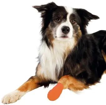 Hunde-Bandagen, Pfotenverband Hunde-Bandagen, Pfotenverband