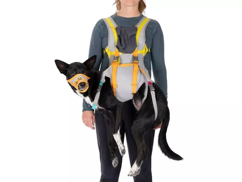 Ruffwear BackTrak™ Dog Evacuation Rettungsset für Hunde Ruffwear BackTrak™ Dog Evacuation Rettungsset für Hunde